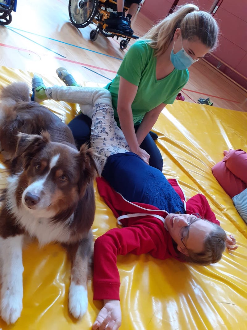 hund nora
