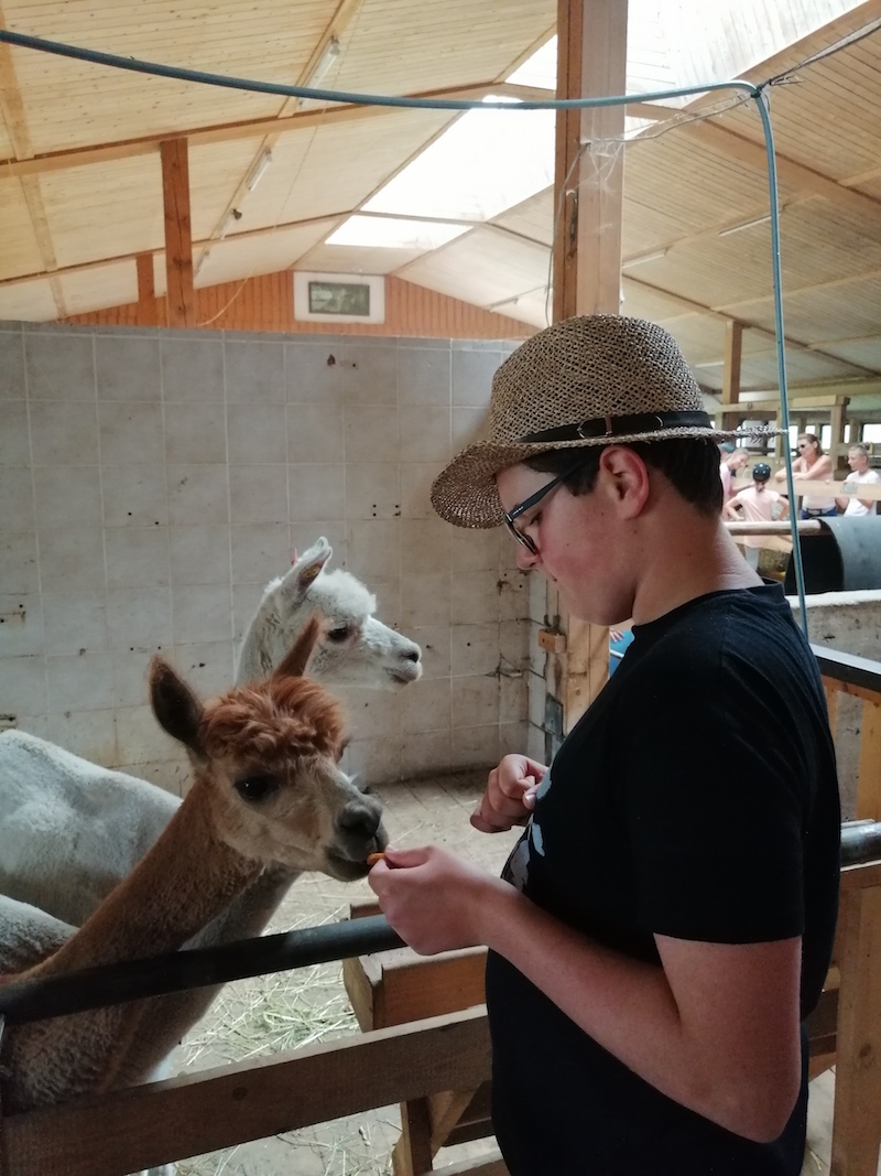 Sommer-Intensiv-Therapie Woche 4 9 –