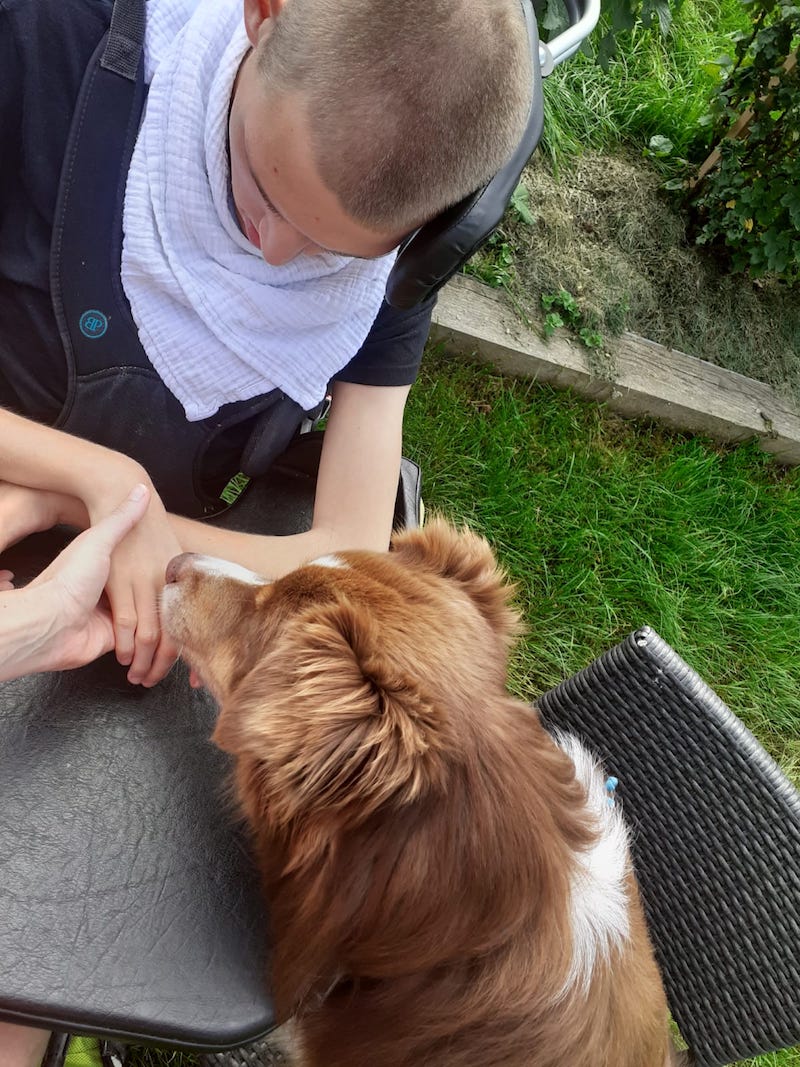 Sommer-Intensiv-Therapie Woche 4 Hund –