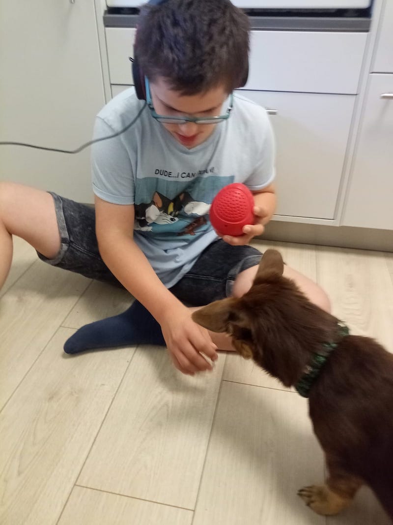 Johannes Hund