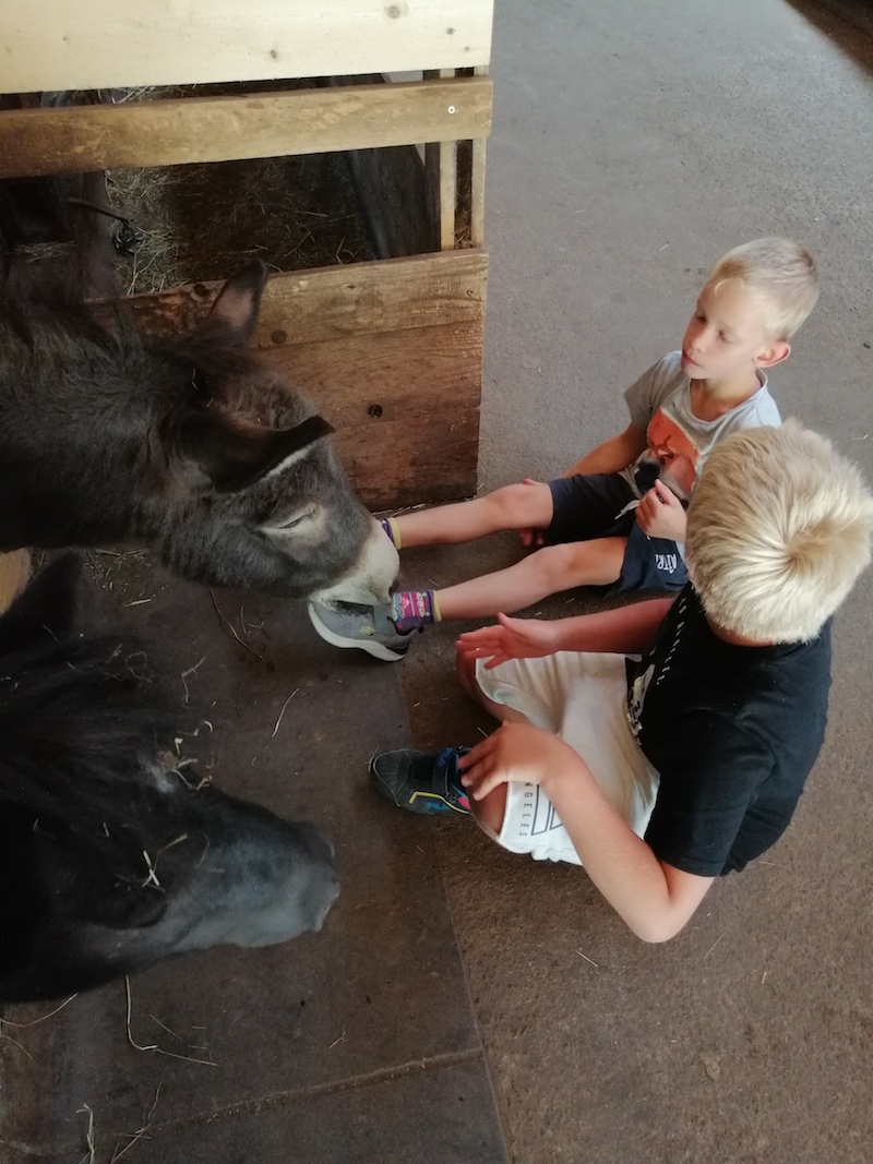Noah und Adrian Stall