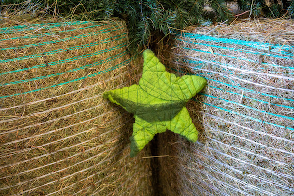 Schritt fuer Schritt Weihnachtsbasar 2021-10