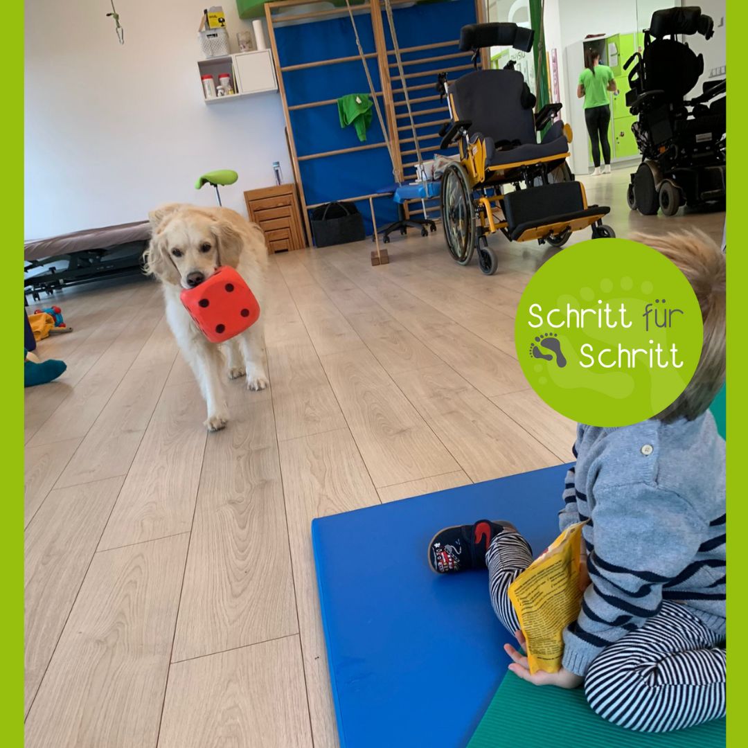 therapiehund 2023
