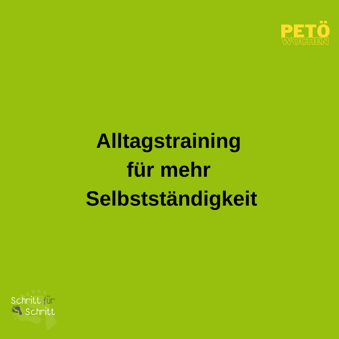 Petoe Alltagstraining