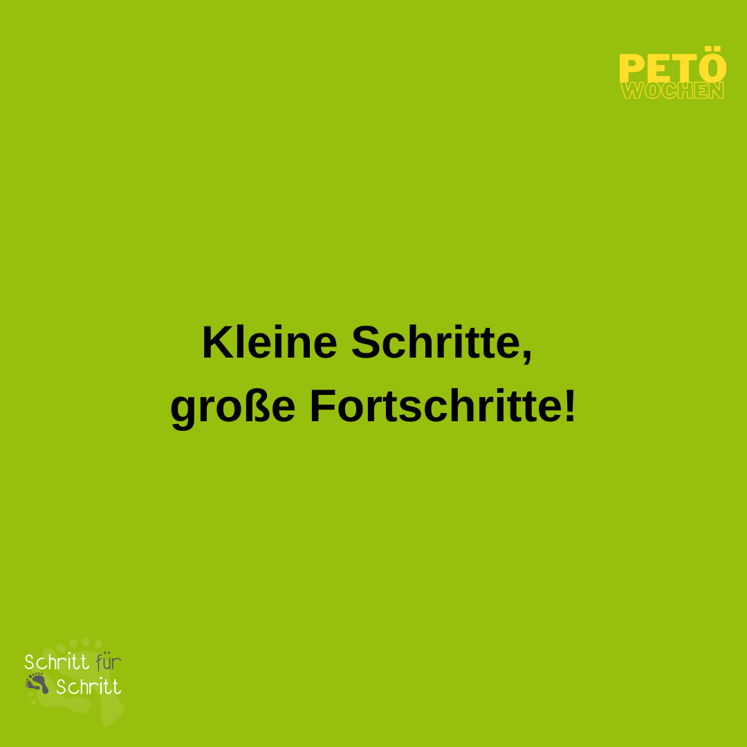 petoe kleine schritte grosse fortschritte