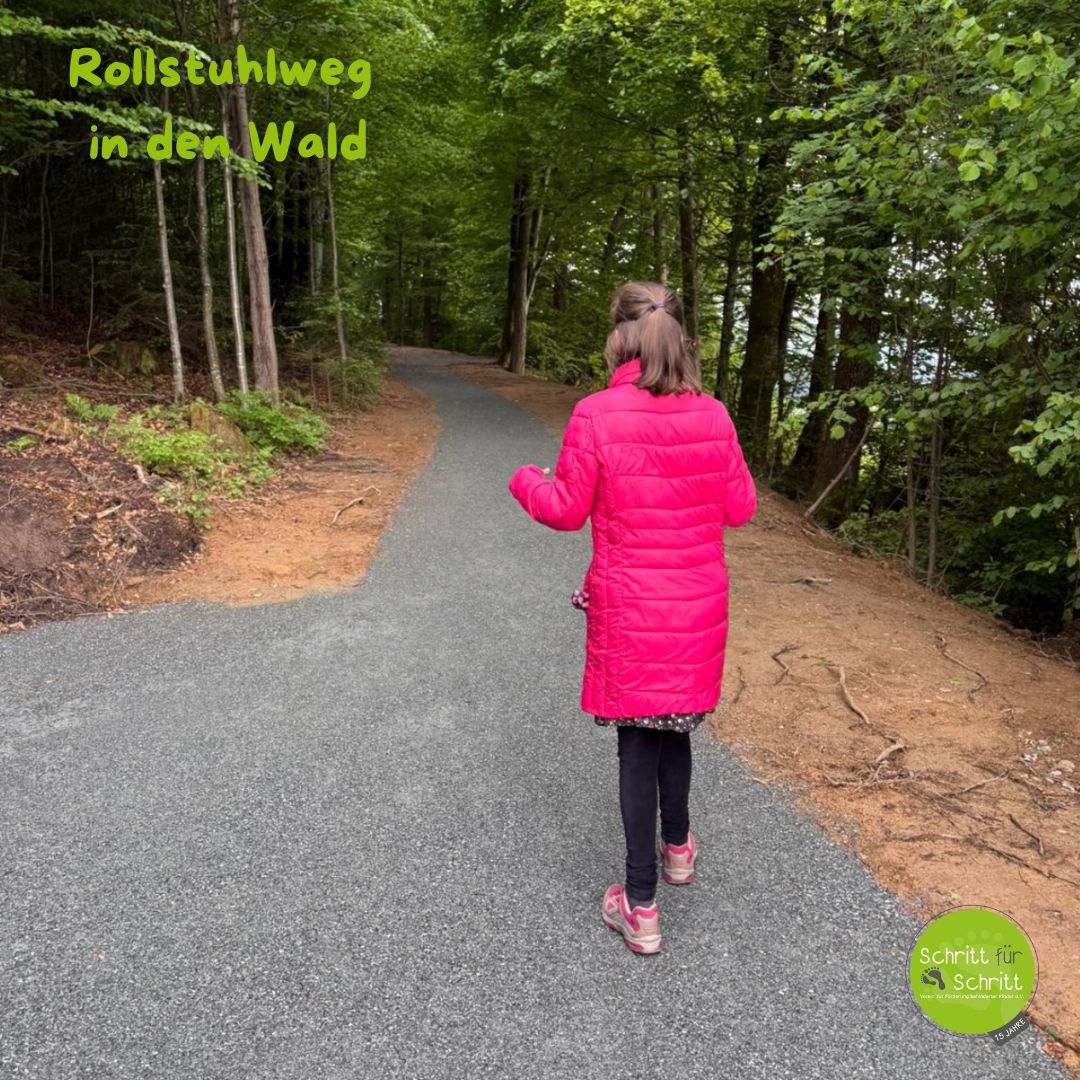 4barrierefreier waldweg schritt fuer schritt