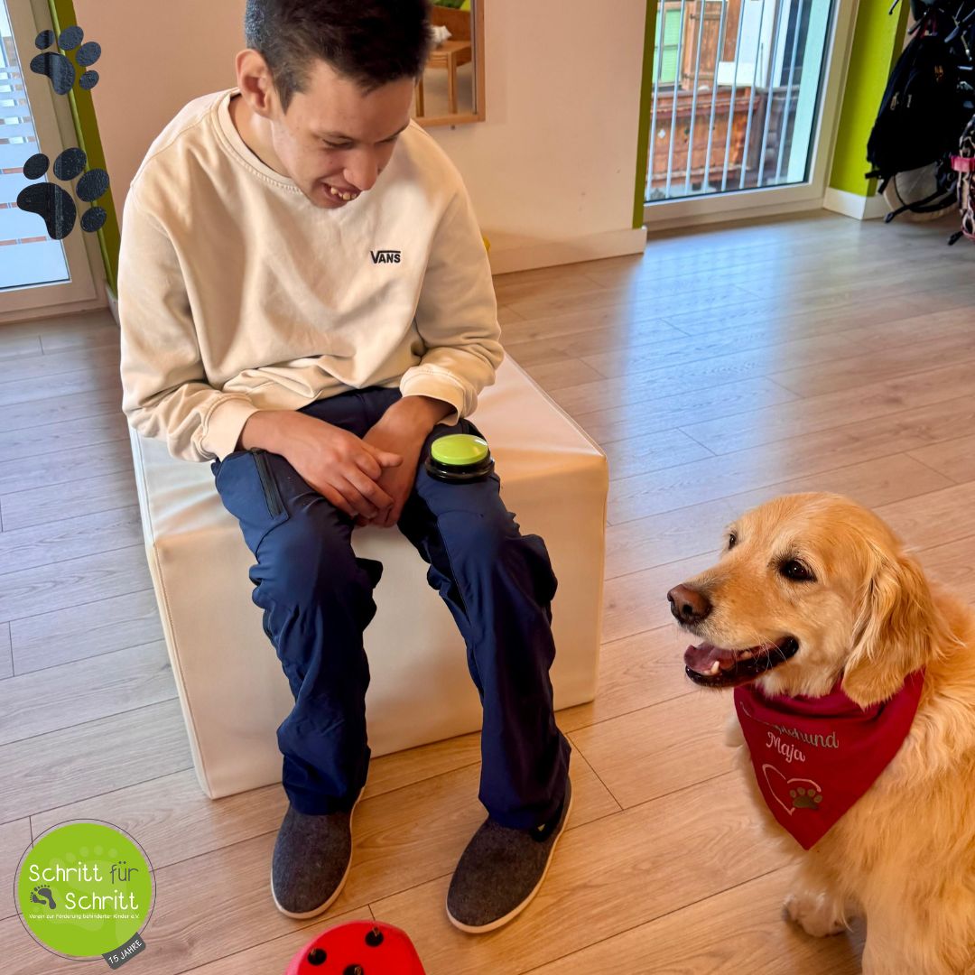 Schritt fuer Schritt therapiebegleithund6