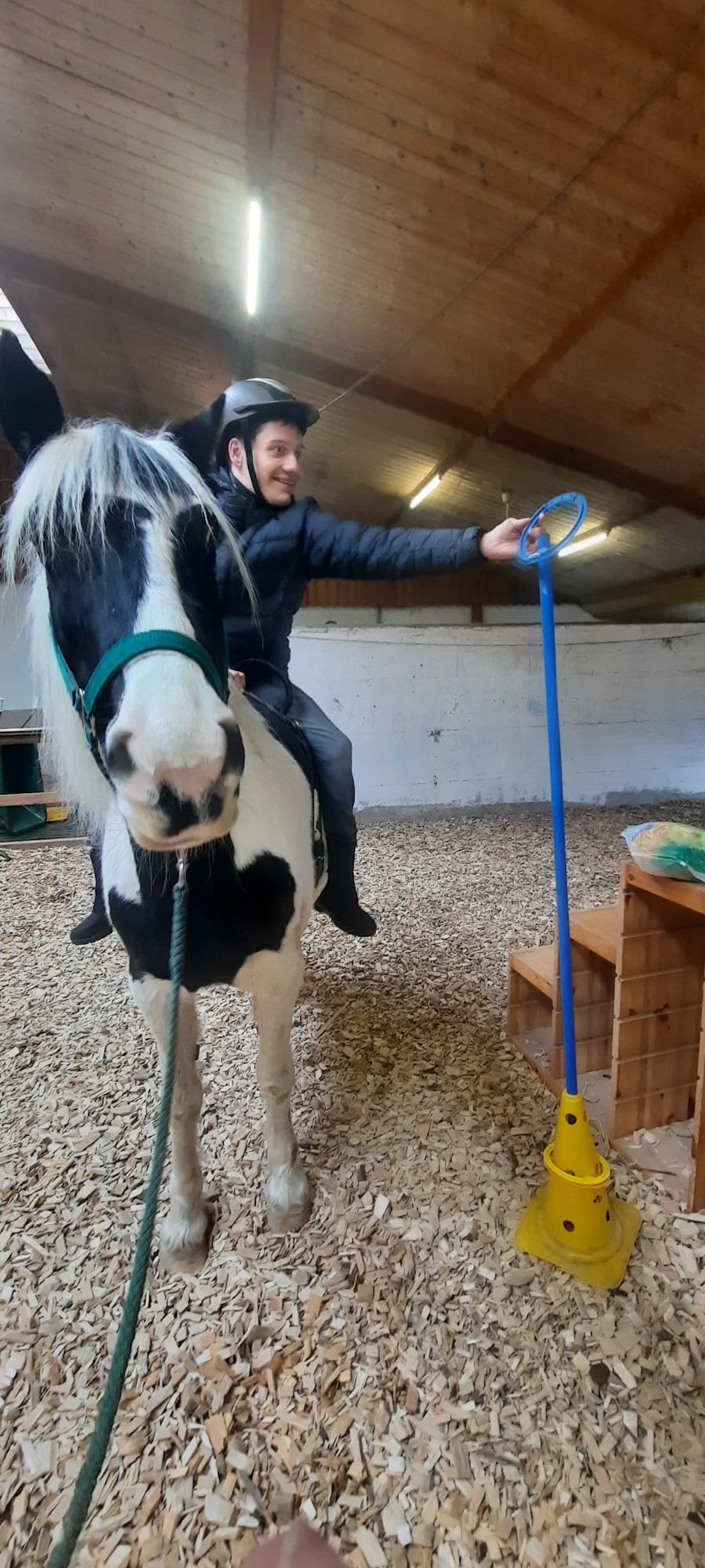reitpaedagogik 2