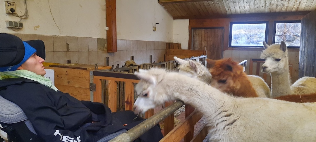 tiergestuetzte interventione